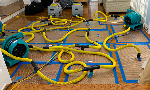 Professional Crawl Space Water Removal technician working in Jackson, MS